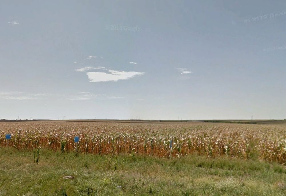 Brăila, Constanța și Buzău, județele cu cele mai multe tranzacții de terenuri agricole în decembrie 2021 