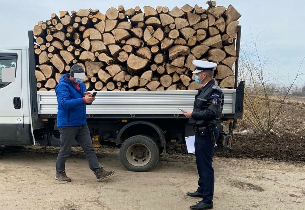 Activităţi de verificare a transportului de material lemnos în județul Buzău