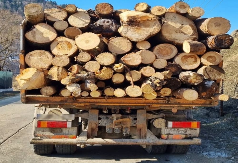 Atenţie la escroci! Poliţiştii din Pătârlagele au reţinut pentru 24 de ore principalul bănuit în cazul unor infracţiuni de înşelăciune  