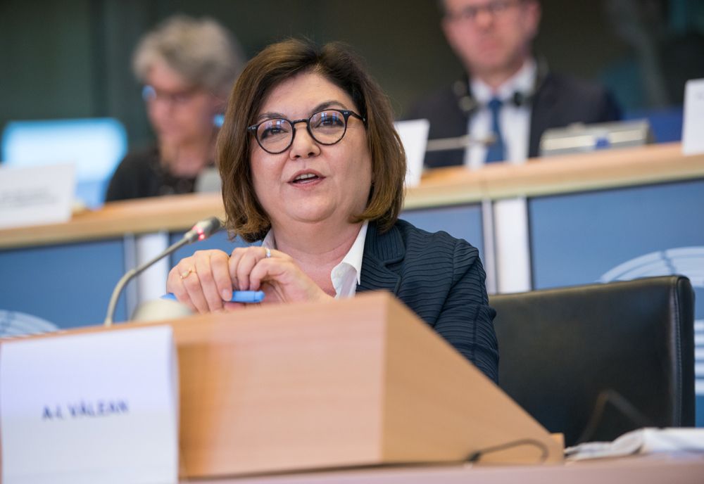 Avertisment. Adina Vălean: Statele europene trebuie să o facă o reducere de energie de 5% în orele de vârf