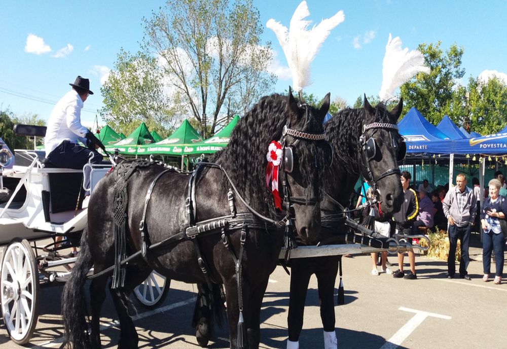 Polițiștii de la Prevenire, prezenți la târgurile de sezon organizate în Buzău