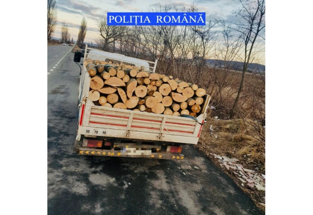 Material lemnos fără documente, confiscat de polițiști