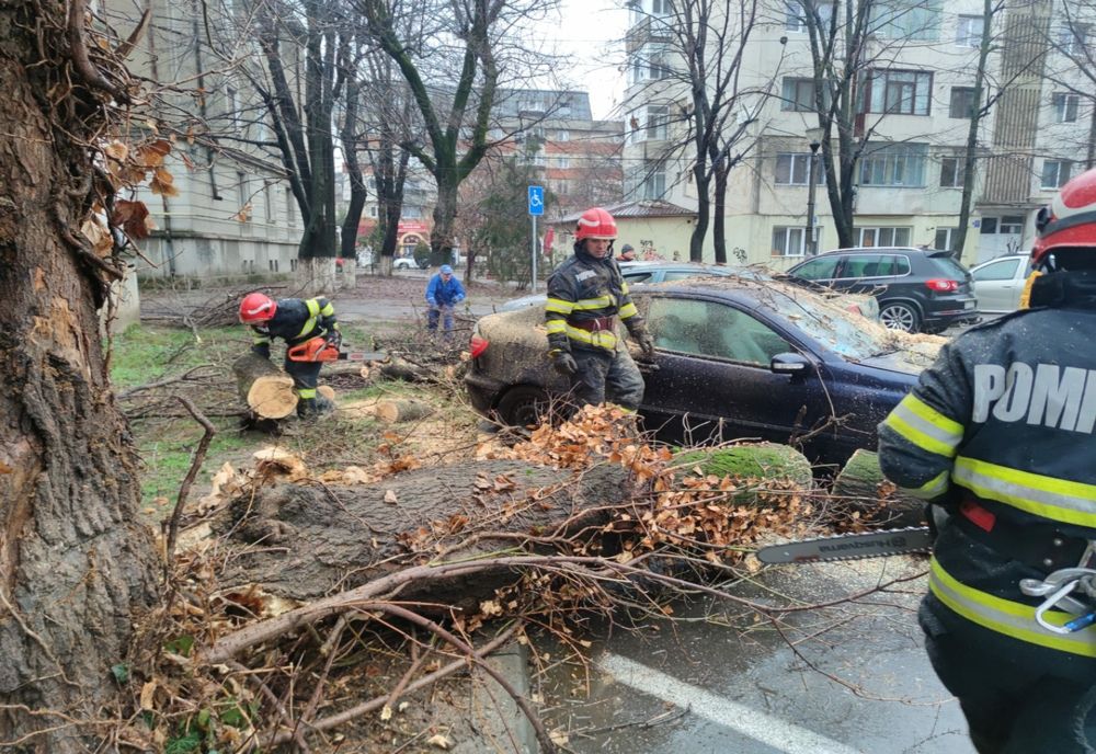FOTO+VIDEO: Un copac doborât de vânt a avariat serios patru mașini dintr-o parcare în municipiul Buzău