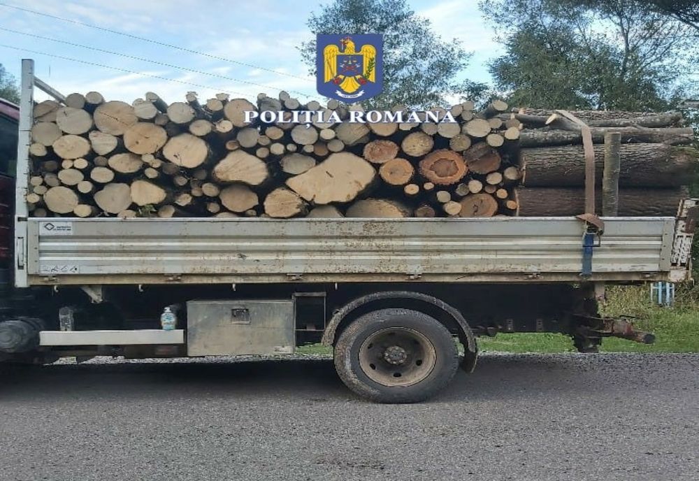 Depistat de polițiști în timp ce transporta lemne fără aviz de însoțire