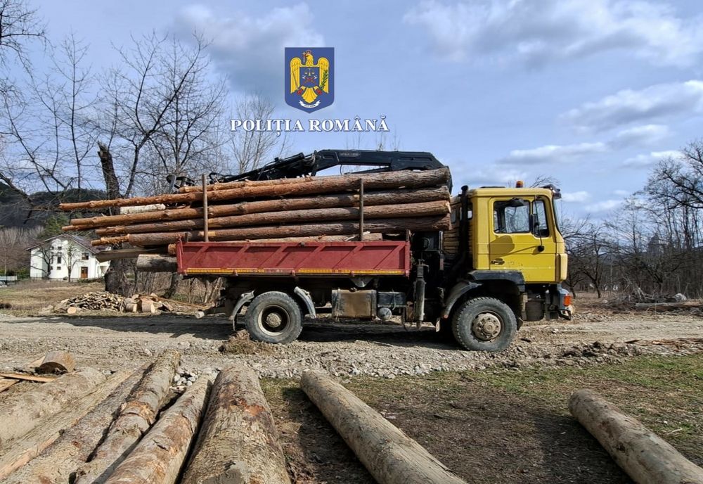 Foto: Sancționat de polițiștii buzoieni pentru transport ilegal de material lemnos