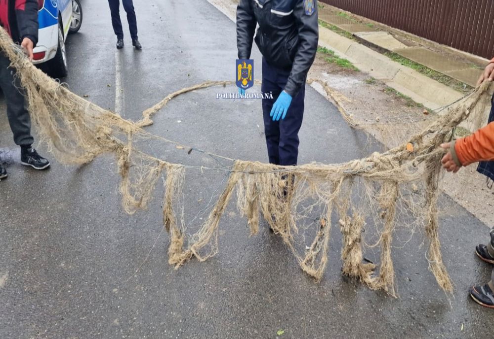 Buzoieni prinți de Poliția Transporturi Galați în timp ce pescuiau ilegal pe fluviul Dunărea în zona Km fluvial 210