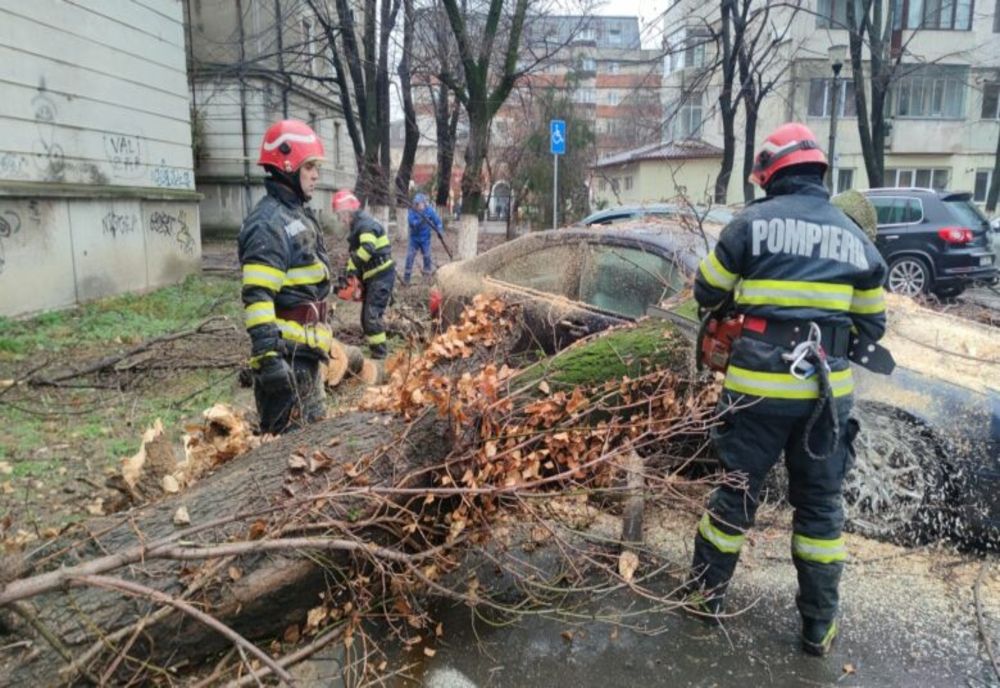 Copac căzut peste trei mașini în cartierul MICRO IV din municipiul Buzău