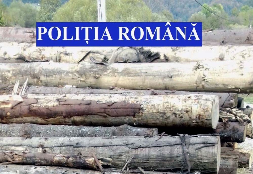 Înregistrările din aplicația SUMAL prezentau neconcordanţe cu privire la vehiculul de transport utilizat