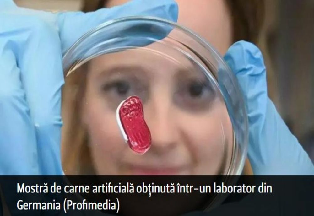 Parlamentarii români vor lege împotriva cărnii produse în laborator