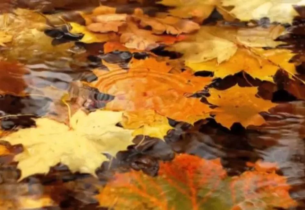 VREMEA 10 SEPTEMBRIE. VREMEA SE SCHIMBĂ RADICAL ÎN TOATĂ ȚARA