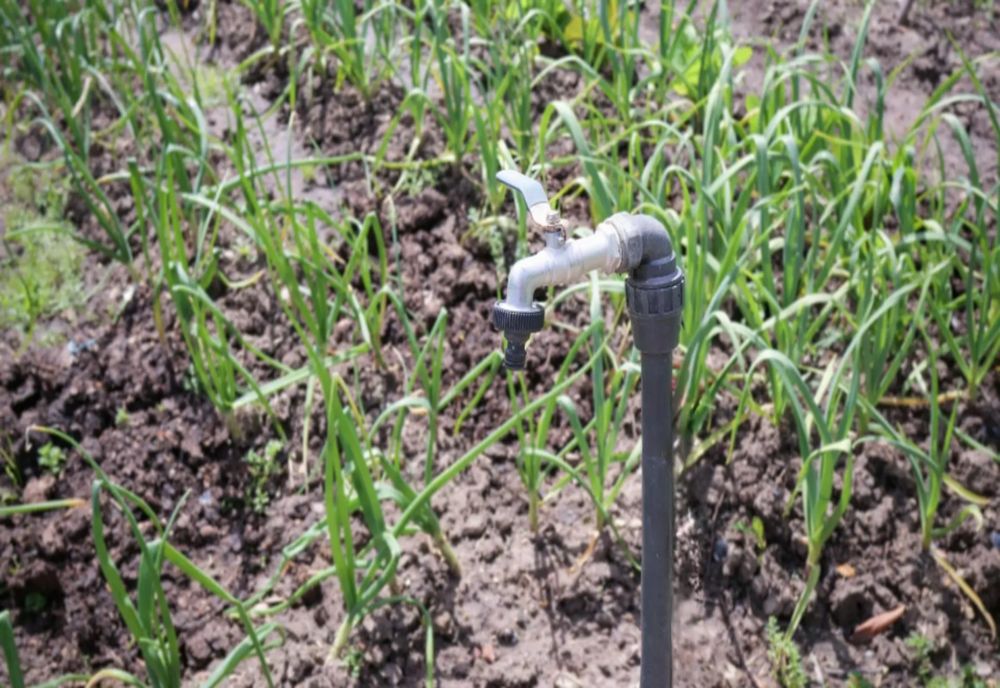 LIDER AUR: ”ROMÂNIA ARATĂ CA O COLONIE. INVENTEAZĂ LEGI CA SĂ IA APA!” VIDEO