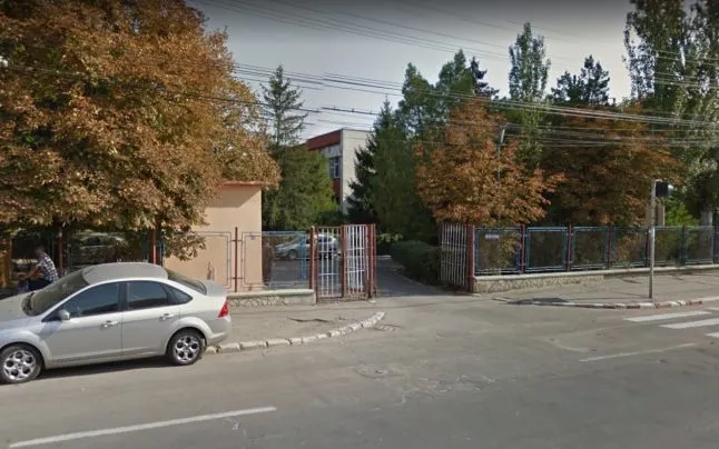 nenitescu