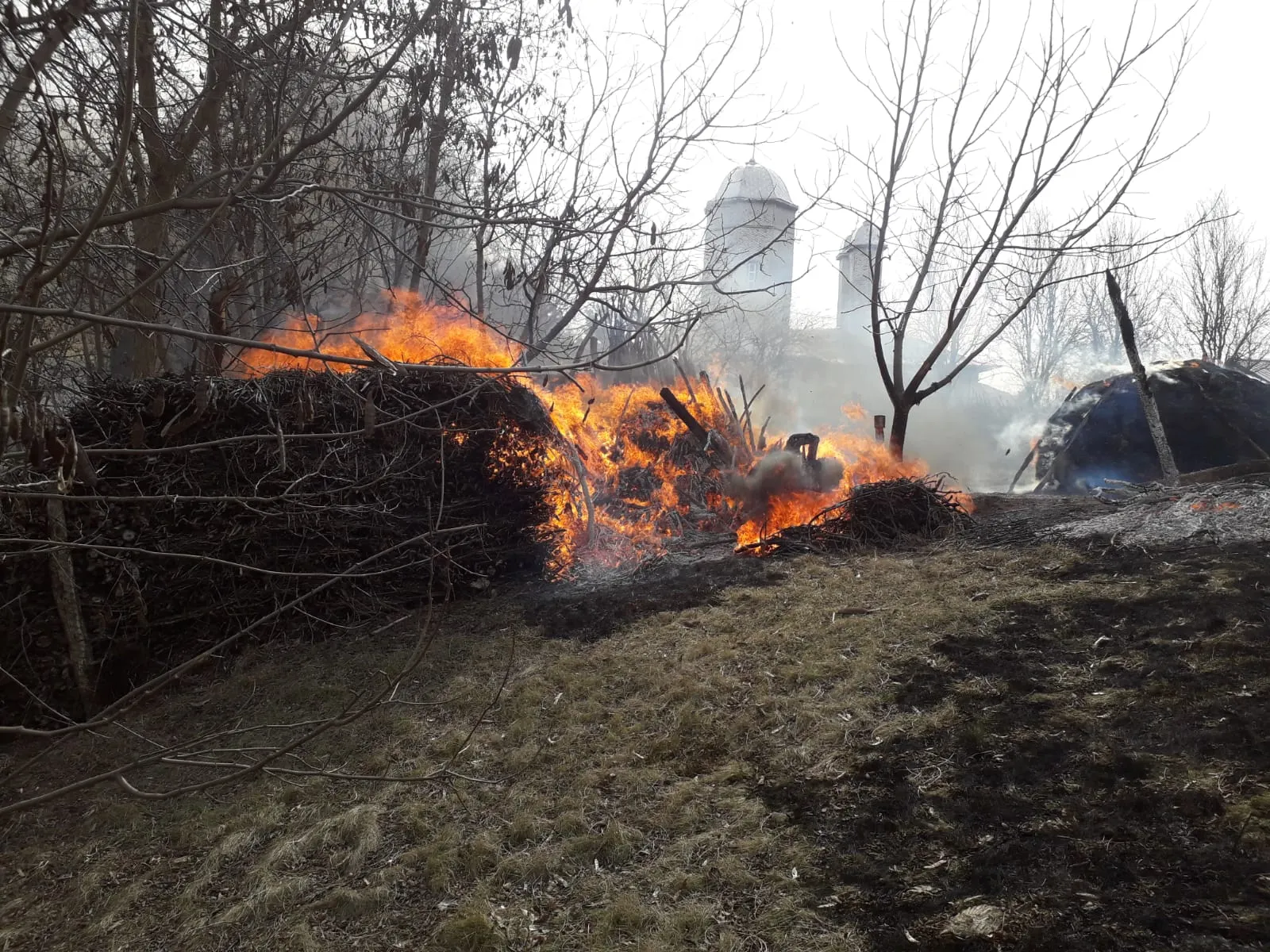 IMG-20190301-WA0007