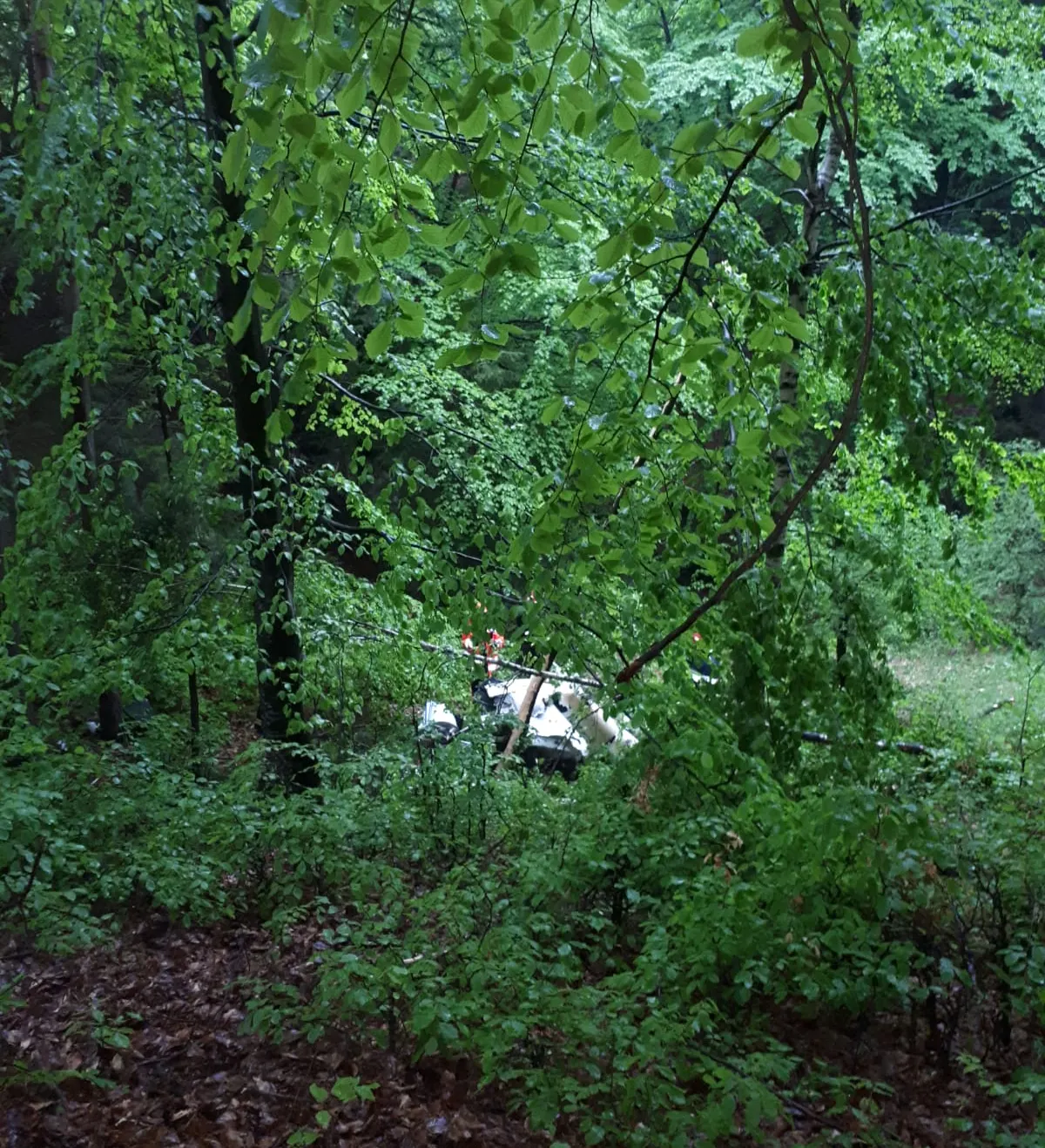 IMG-20190515-WA0017