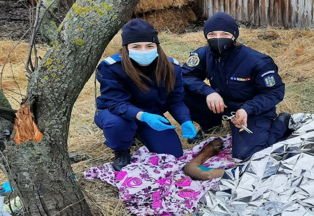 Cerbul salvat de jandarmii buzoieni a fost botezat
