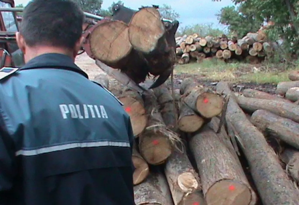 Nereguli silvice sancţionate de către poliţişti 