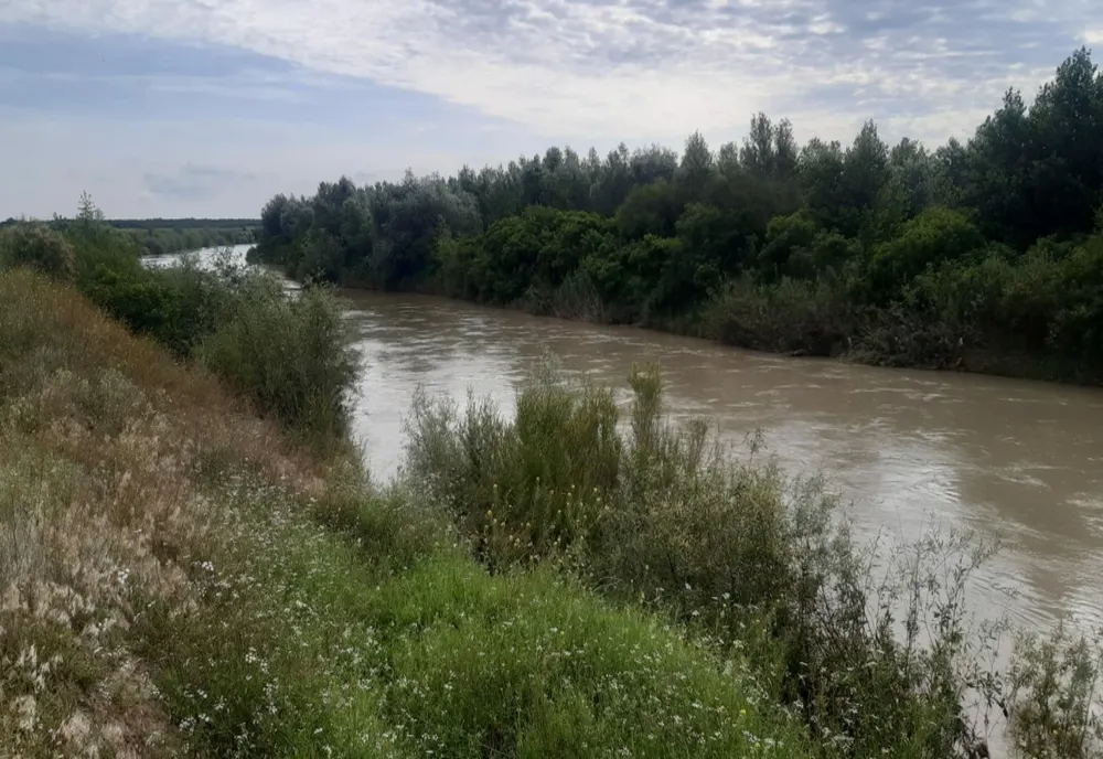 Cadavru plutind pe raul Buzău, in judetul Braila