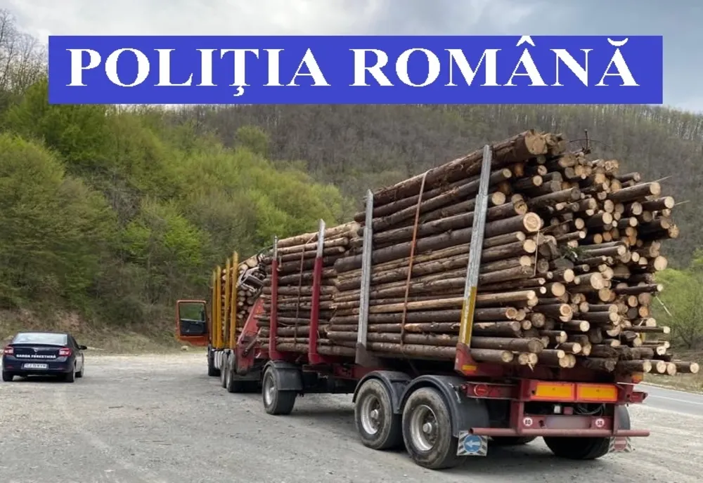 Dosar penal pentrul transport ilegal de material lemnos
