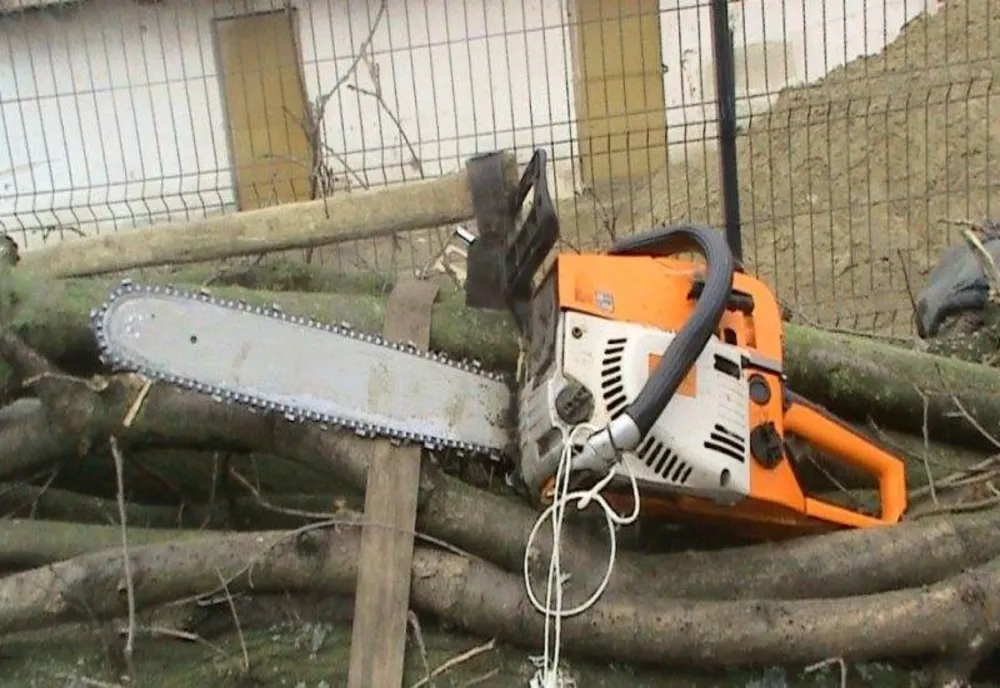Surprins de polițiști că a tăiat ilegal și a sustras mai mulți arbori din specia salcâm