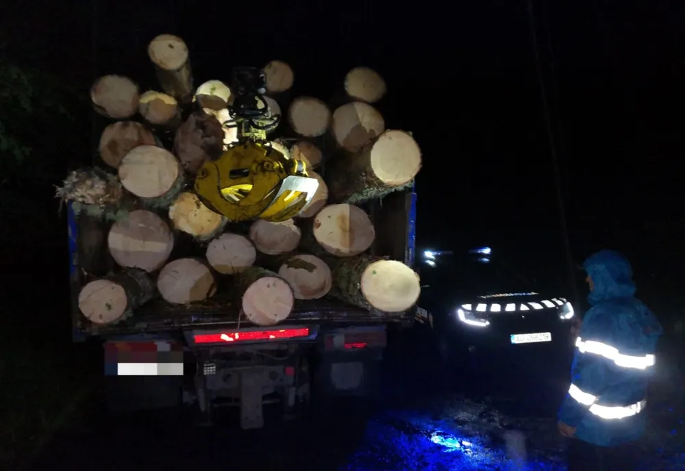 Acțiuni ale polițiștilor de ordine publică pentru prevenirea şi combaterea prejudicierii fondului forestier