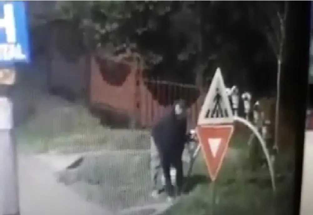 Aranjamentele florale și ghivecele de flori reprezintă o “atracție” pentru persoanele rău intenționate