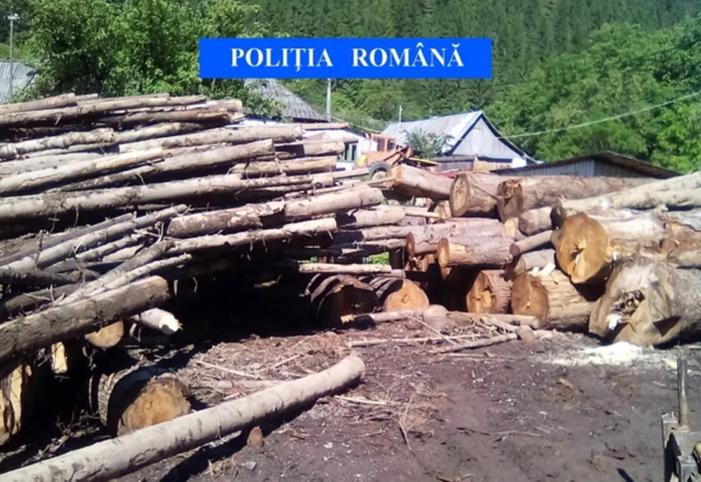 Sancţiuni pentru nereguli silvice aplicate de poliţişti unui operator economic de profil
