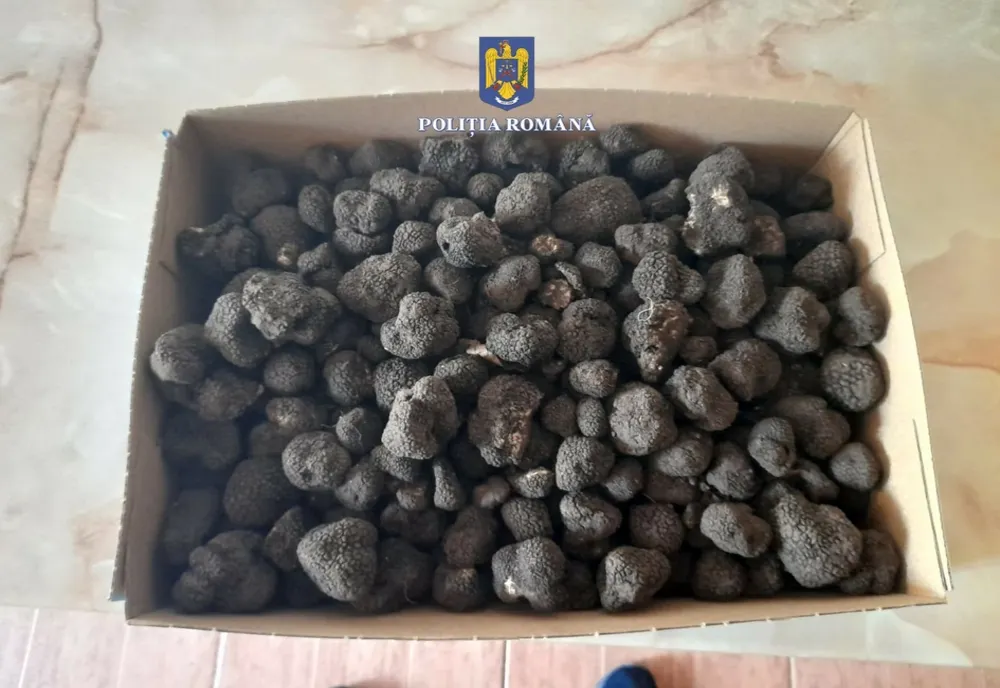 Un bărbat a fost depistat de polițiști cu peste 2 kilograme de trufe