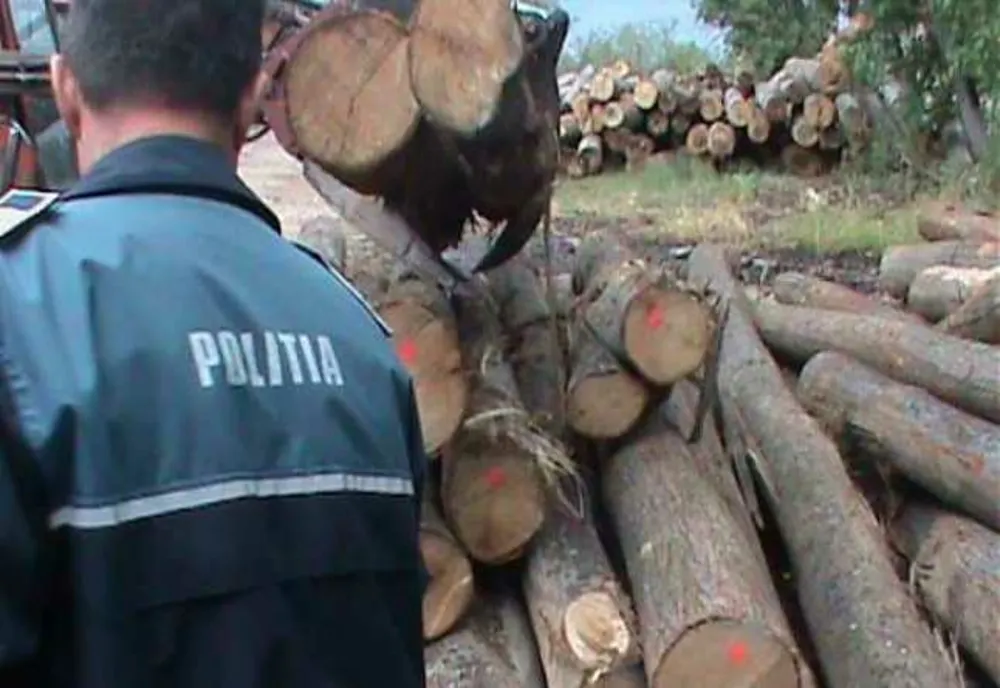 Transporturi de material lemnos fără documente de proveniență sau cu neconcordanțe în avizul de însoțire