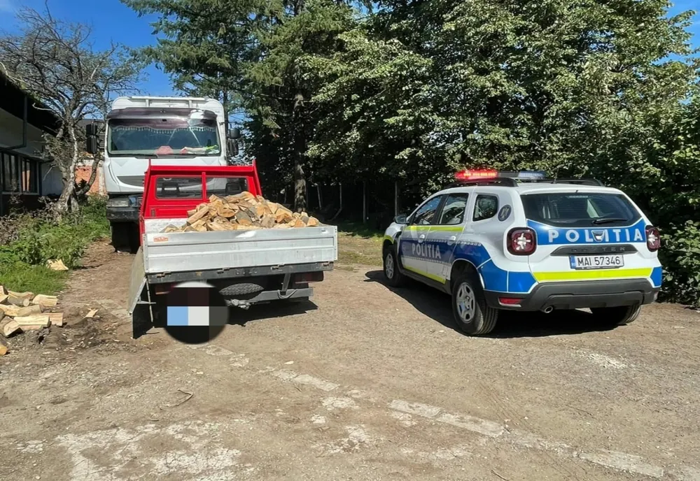 Transport de material lemnos, în afara cadrului legal