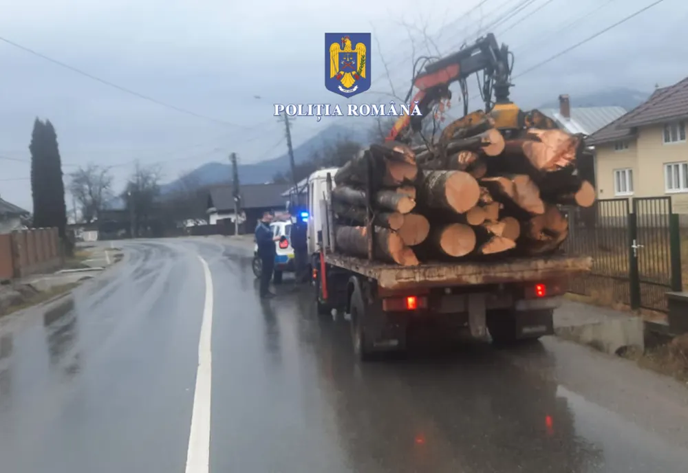 Sancționat de polițiști pentru transport ilegal de material lemnos