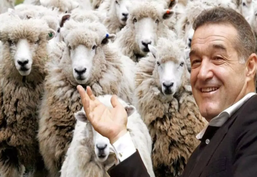 REALITATEA PLUS DESCINDE LA FERMA URBANĂ A OIERULUI GIGI BECALI: TRANSMISIUNE-BOMBĂ DIN INIMA ORAȘULUI - LIVE VIDEO