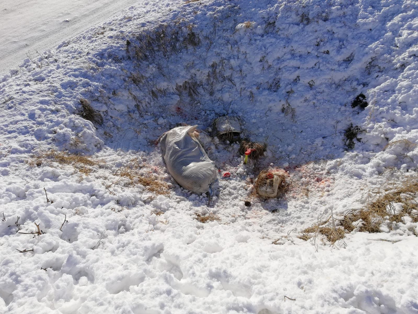 49298220_707694669627815_2055622518105964544_n