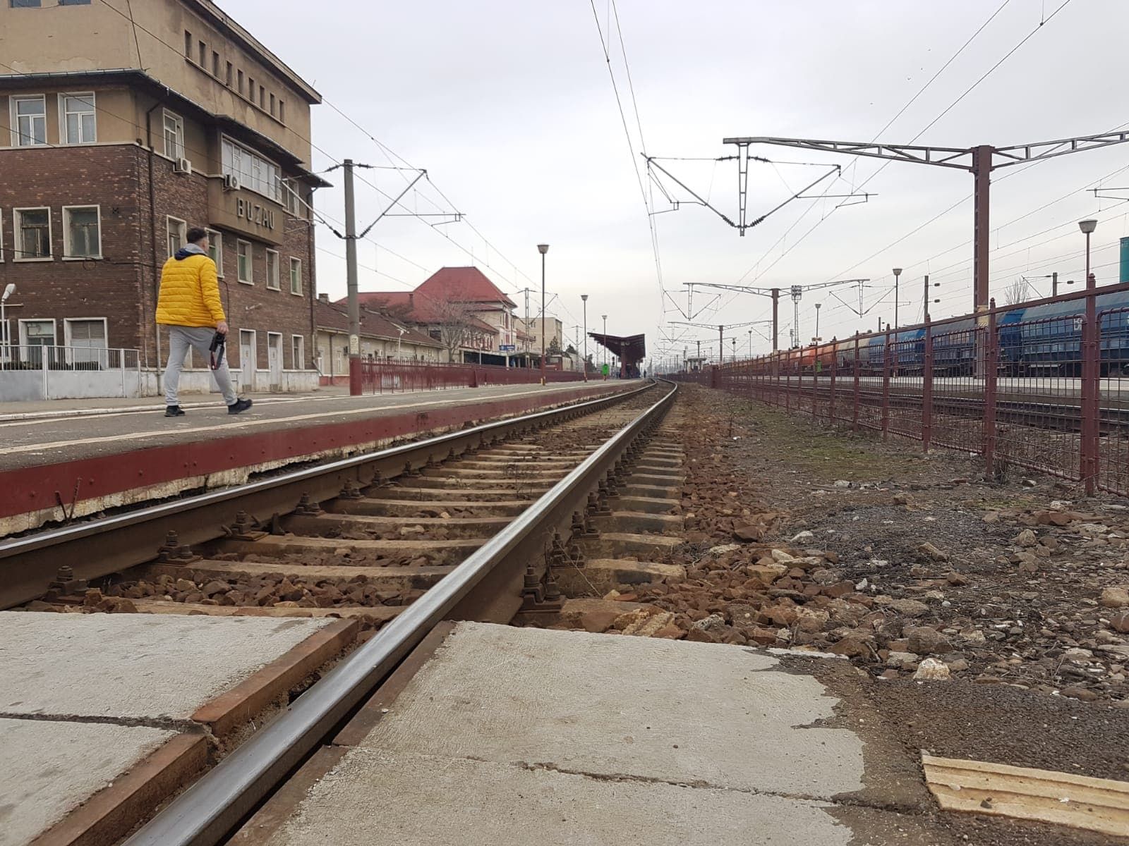 51153490_386847448798965_7468807841227210752_n