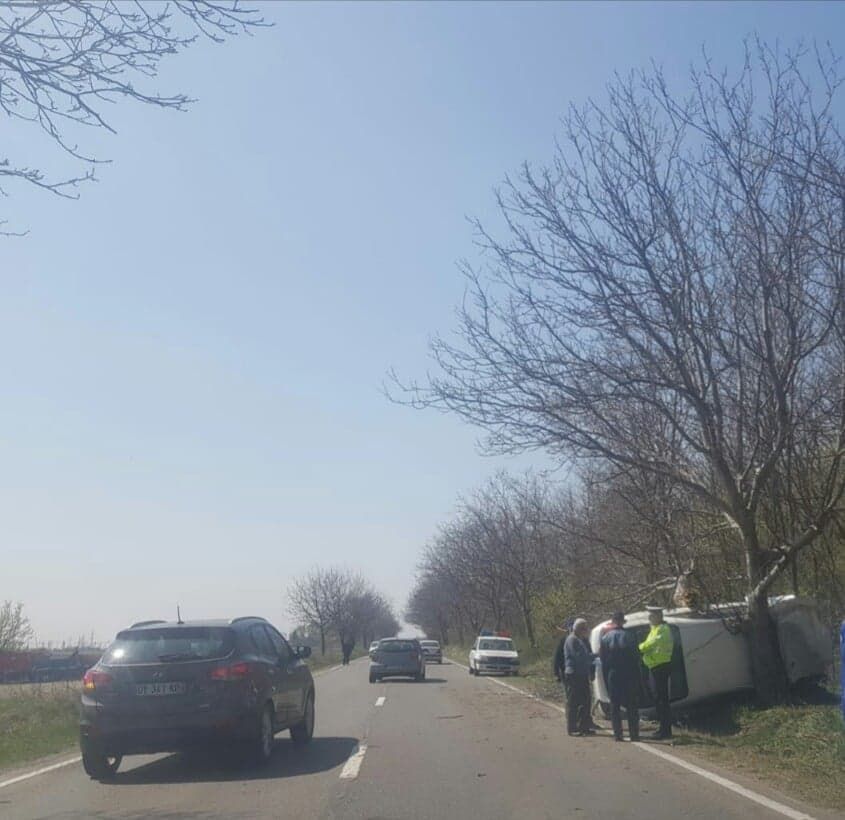 55788331_317481348867655_5331855264058441728_n