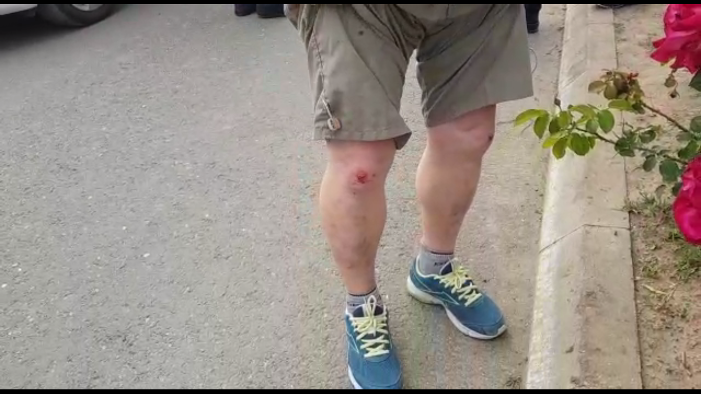 61696852_2233272673415791_171316032005210112_n