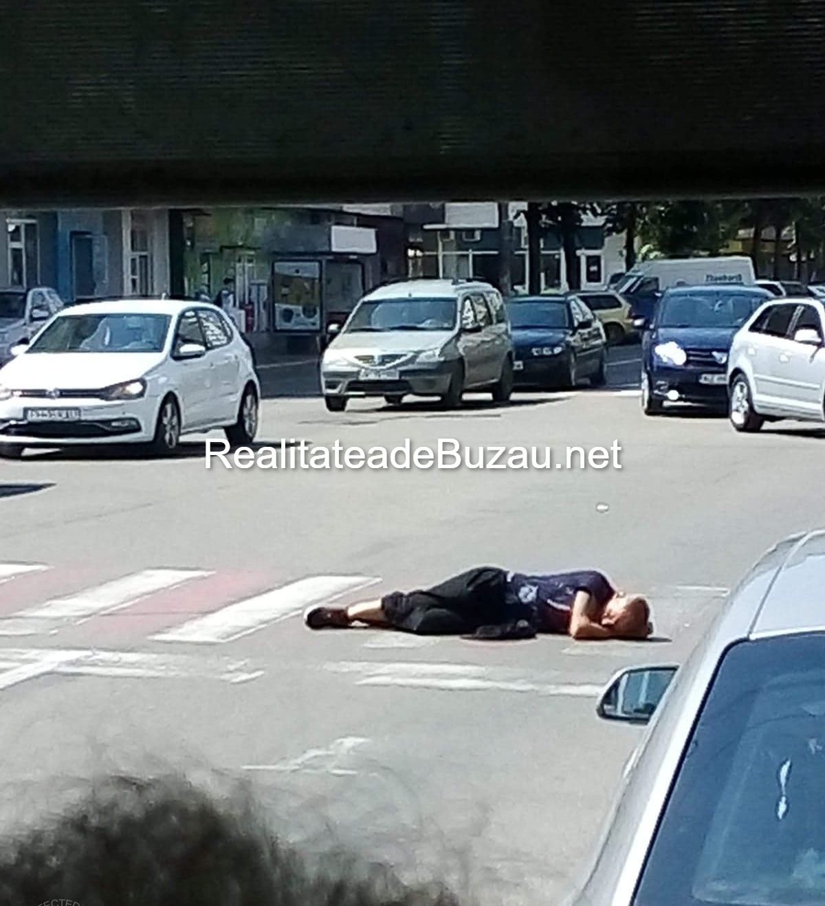 62385638_340380906647000_7609653734557089792_n