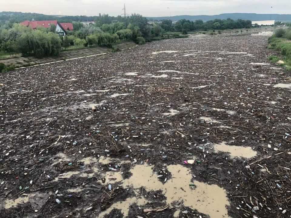 64606279_2528166463880310_760230836552335360_n