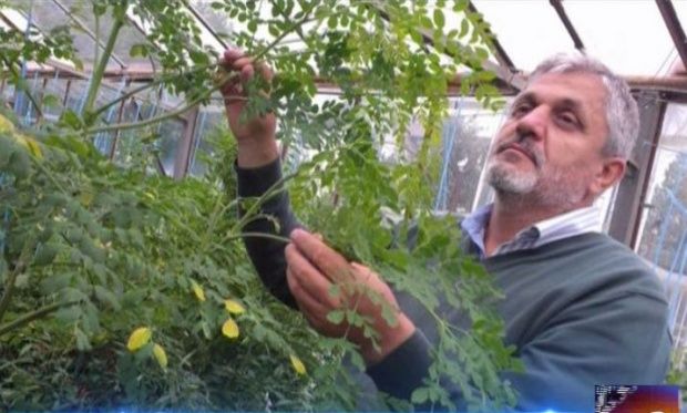 eroul-zilei-cercetatorul-care-a-adus-in-romani-planta-viitorului-413082