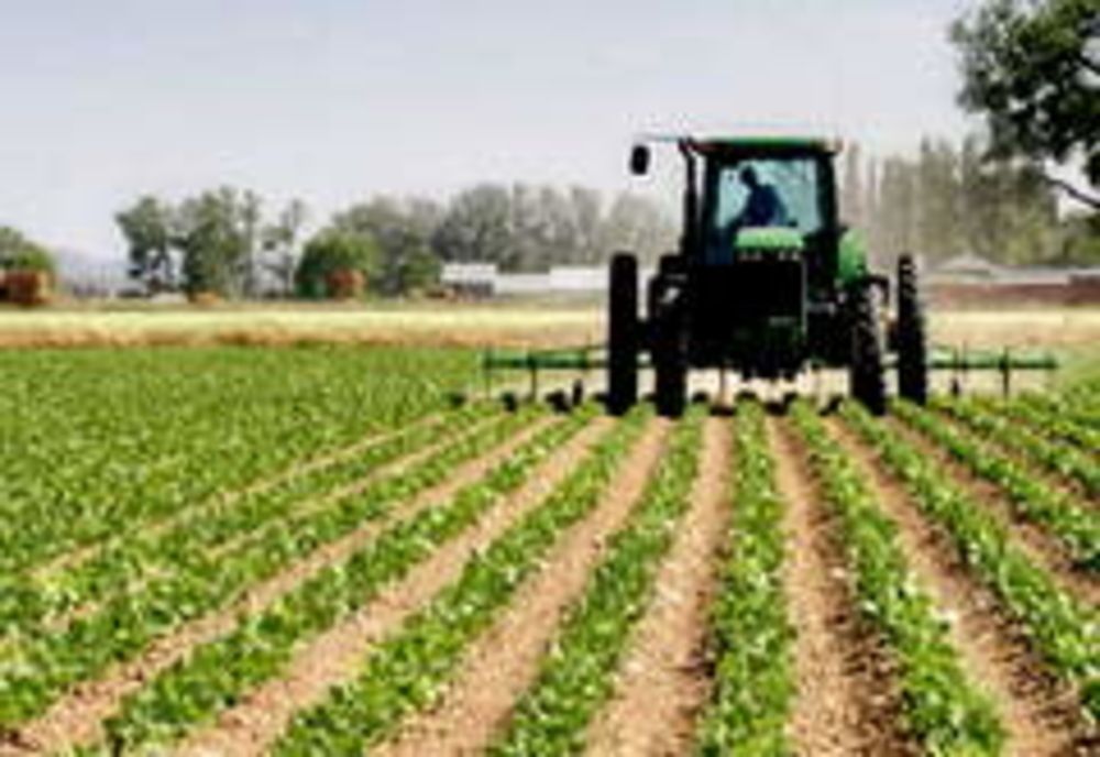 Deschiderea de credite bugetare pentru continuarea plăţilor către fermieri