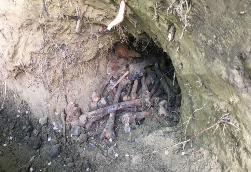 Groapă cu oseminte umane descoperită în localitatea buzoiană Topliceni