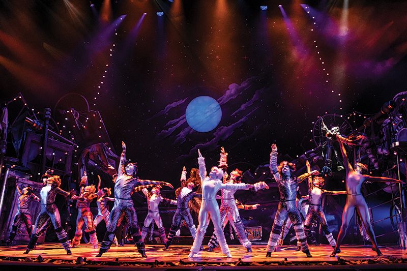 CATS-musical