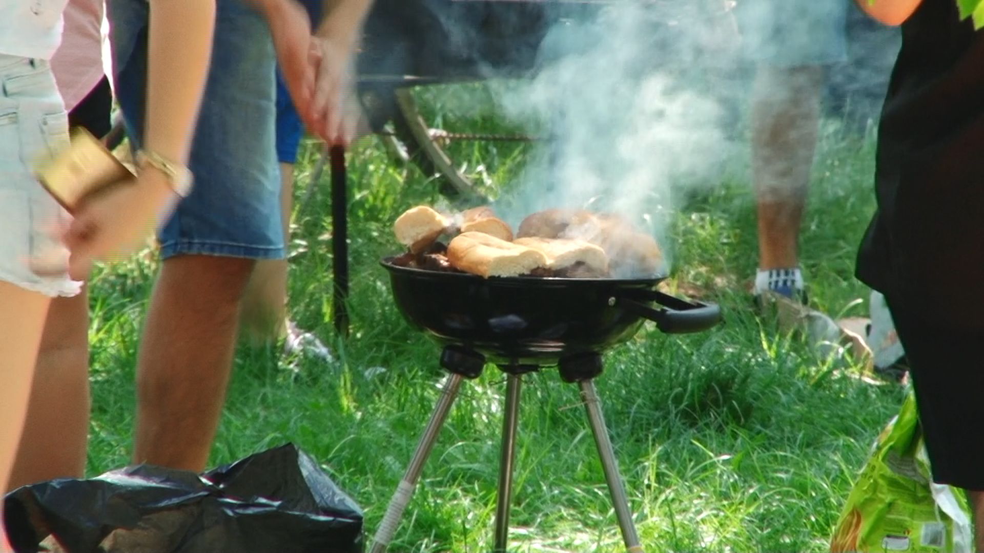 1-MAI-LA-PADUREA-VERDE-1-MAI-2018.Still003