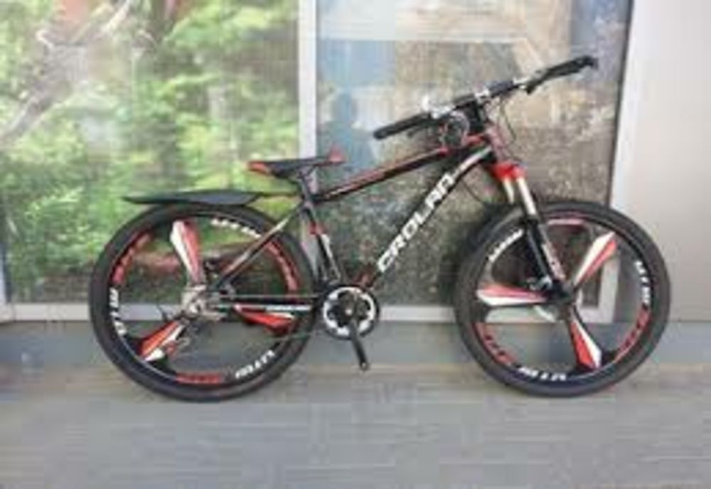 S-a ales cu dosar penal pentru furtul unei biciclete