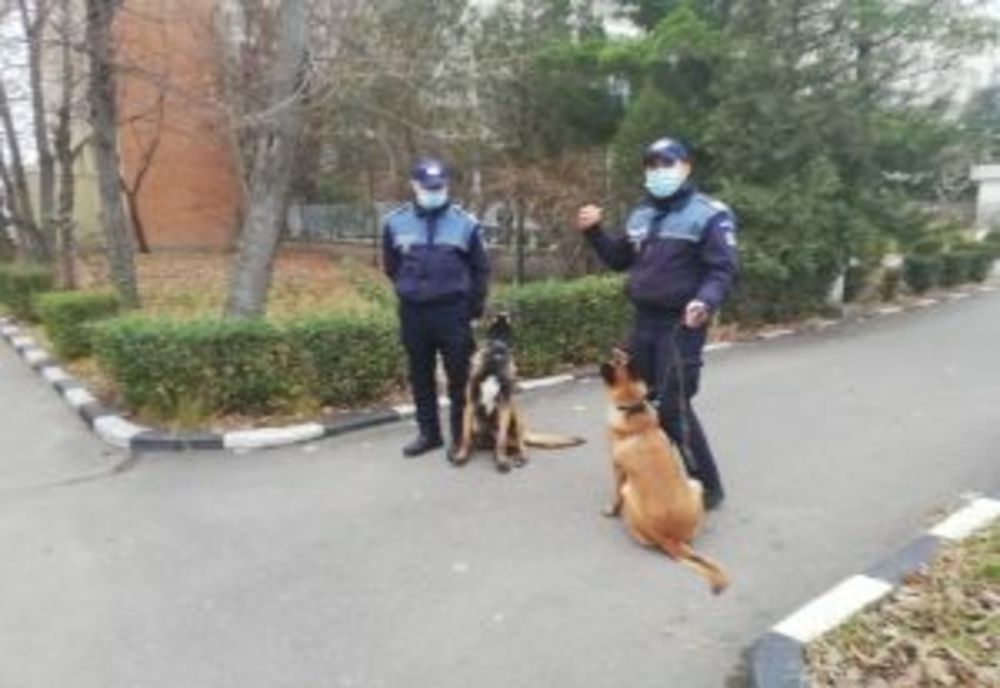 Sia și Dan, noii colegi ai polițiștilor buzoieni