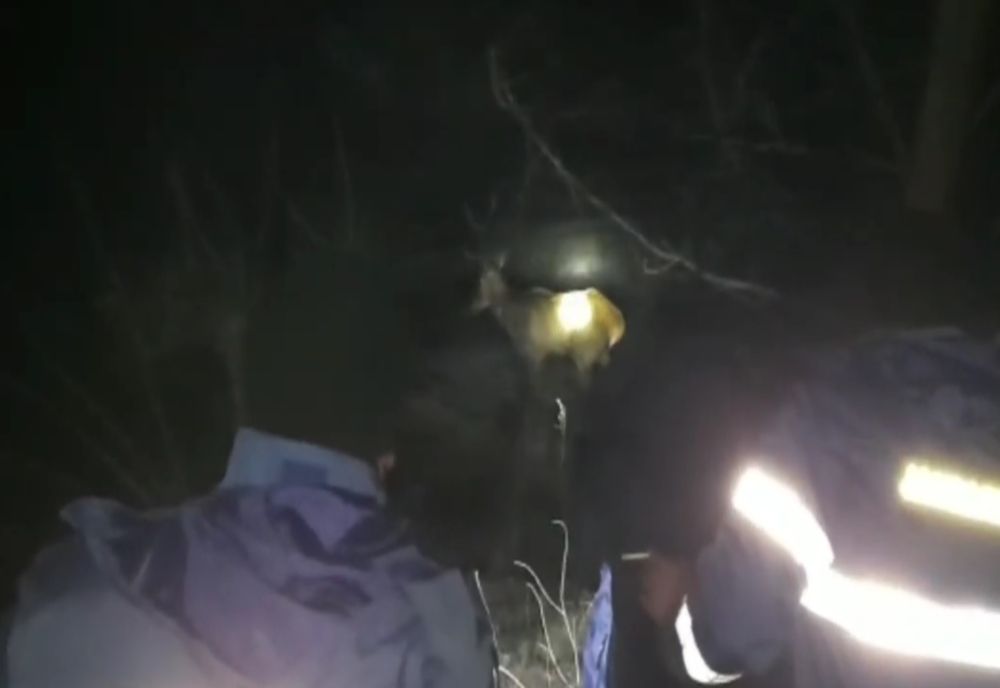 Video: După mai bine de 5 ore, un cerb rănit a fost salvat de jandarmii buzoineni