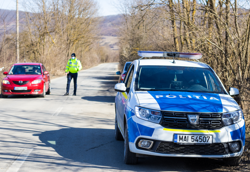 Doi frați din Merei s-au ales cu dosare penale 