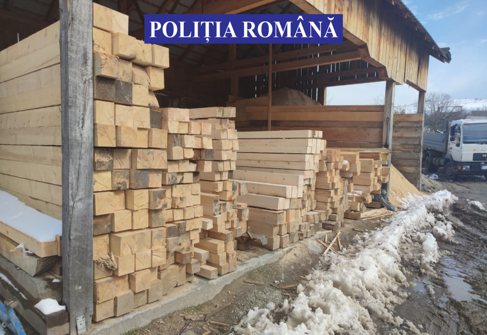 Aproximativ 22 m.c. de cherestea rășinoase recepționate fictiv de o firmă din Prahova, dar în realitate descărcate în municipiul Buzău