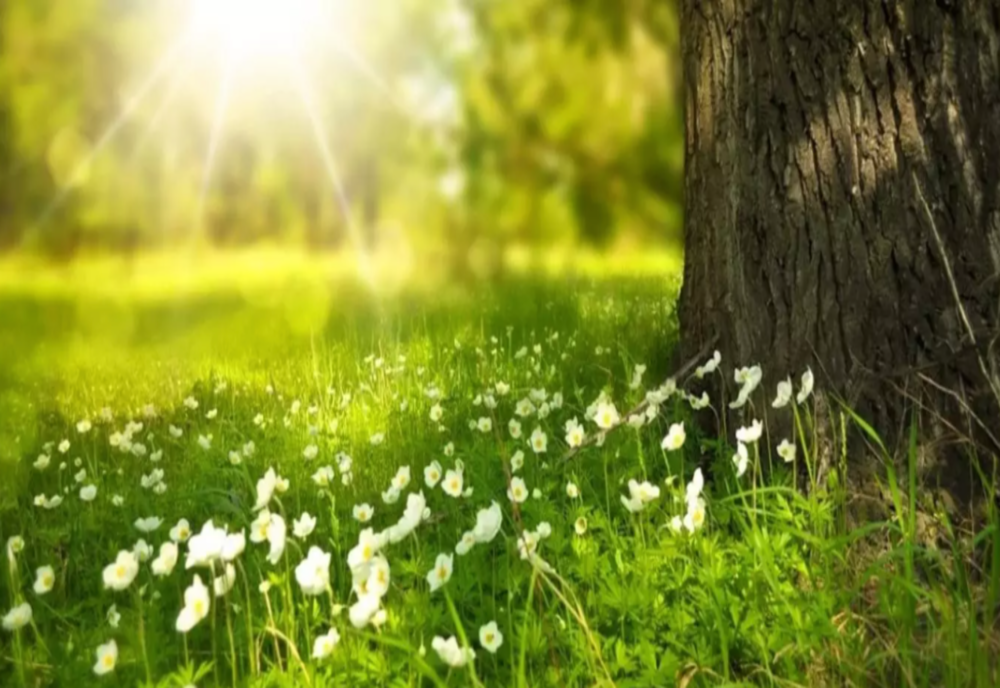 Prognoza meteo, actualizată: FENOMENE NEOBIȘNUITE, după temperaturile de vară