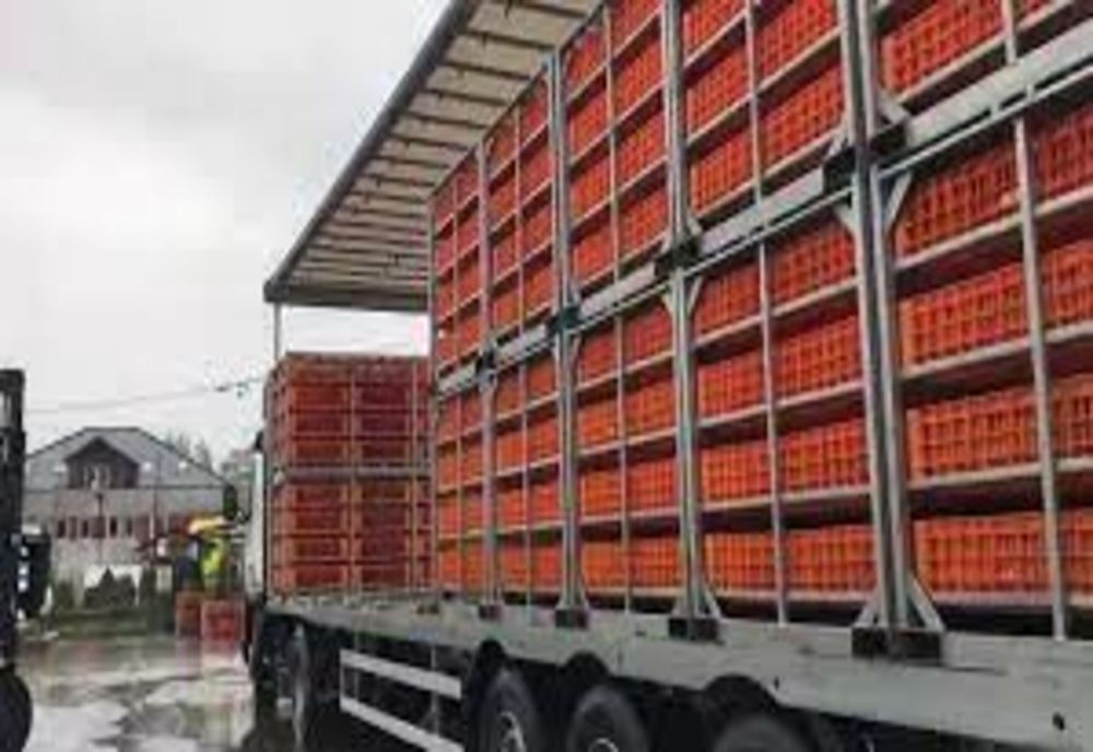 Polițiștii buzoieni au confiscat peste 560 de pui vii