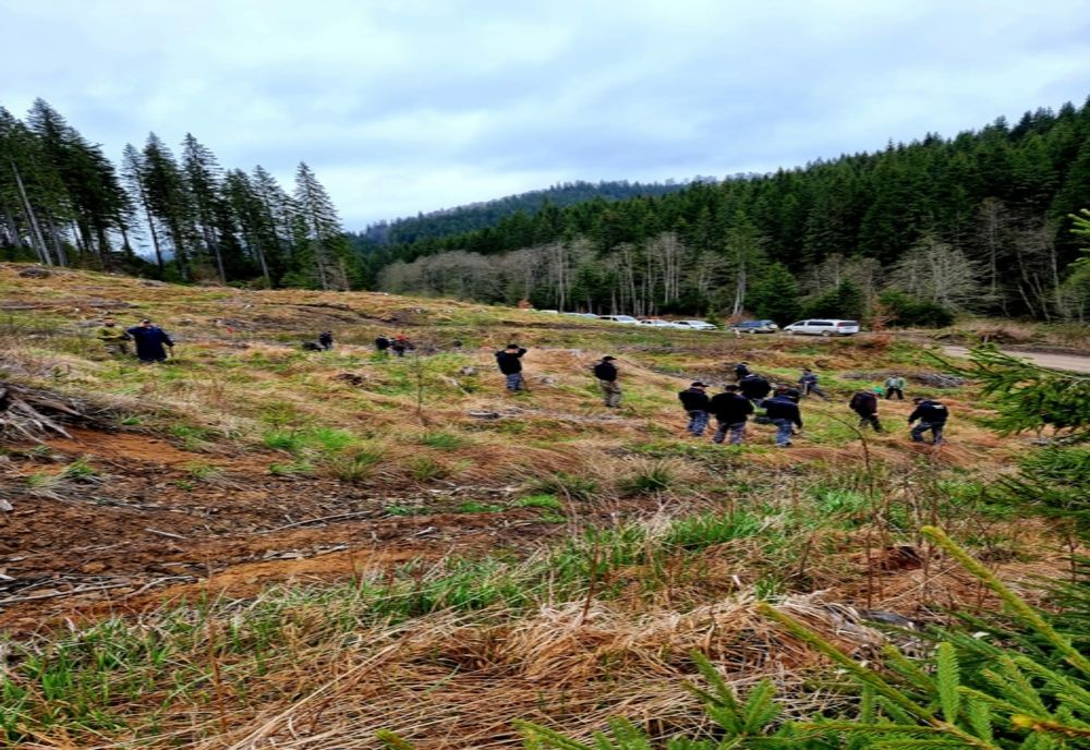 Polițiștii buzoieni au dat o mână de ajutor la reîmpădurirea codrilor din Munții Buzăului 